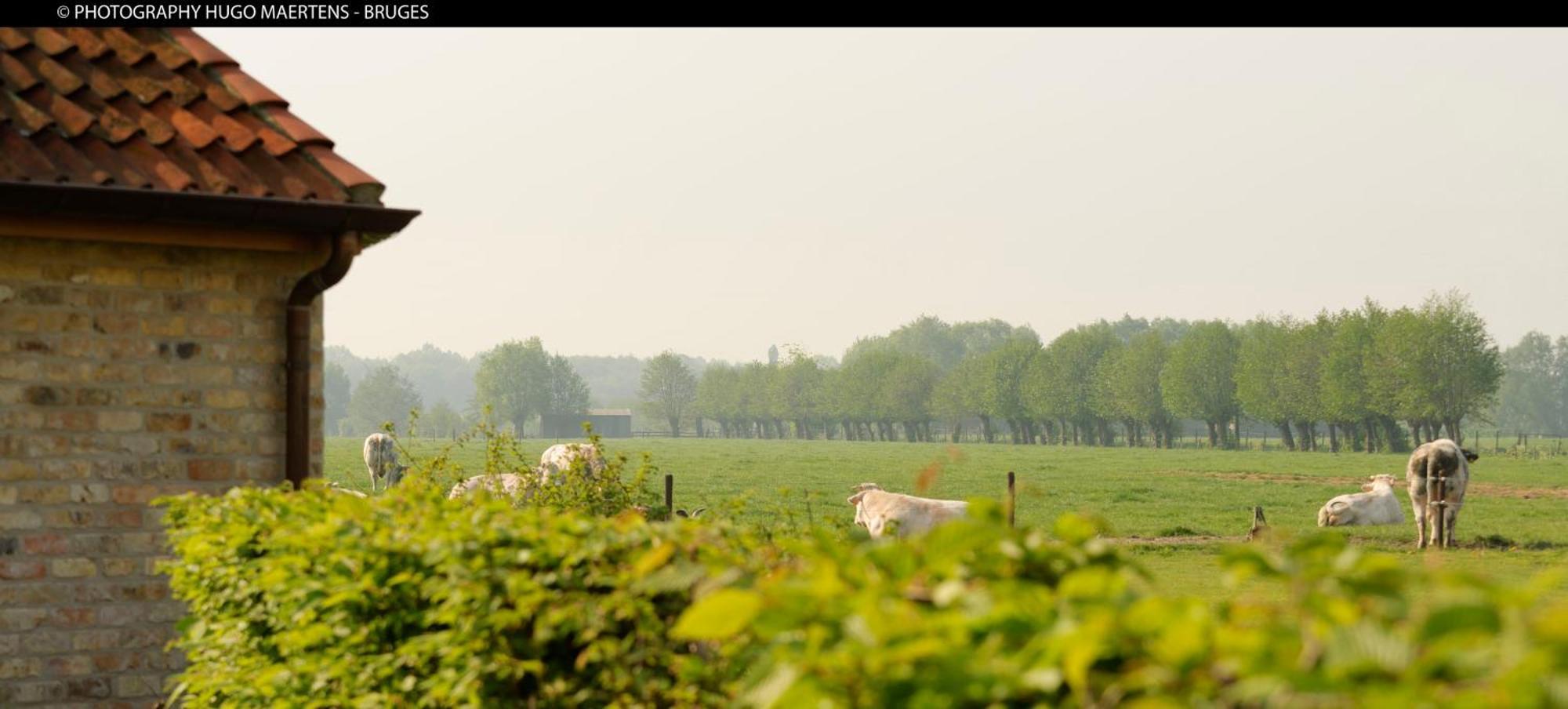 Domein Het Weiland ダンメ エクステリア 写真