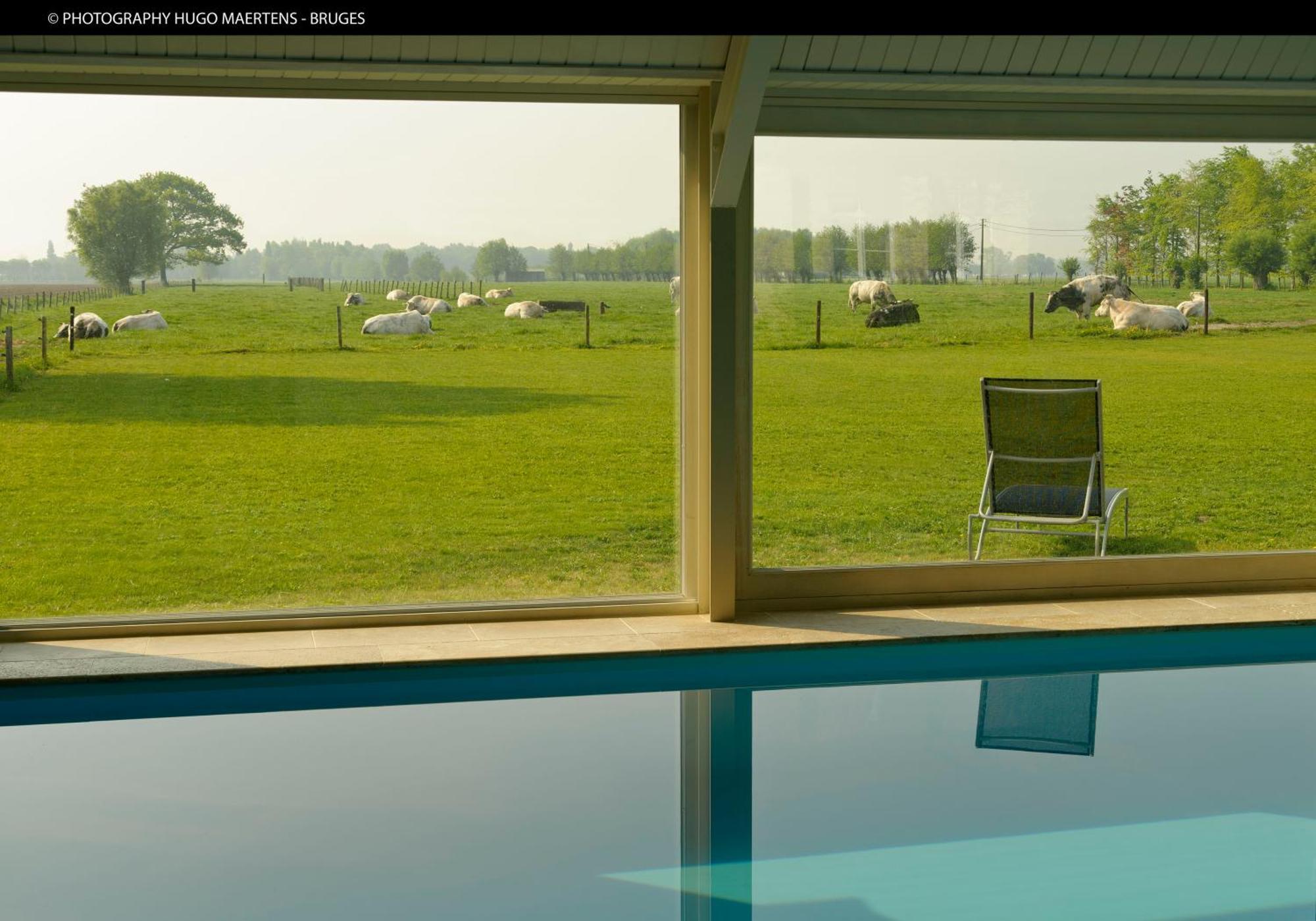 Domein Het Weiland ダンメ エクステリア 写真