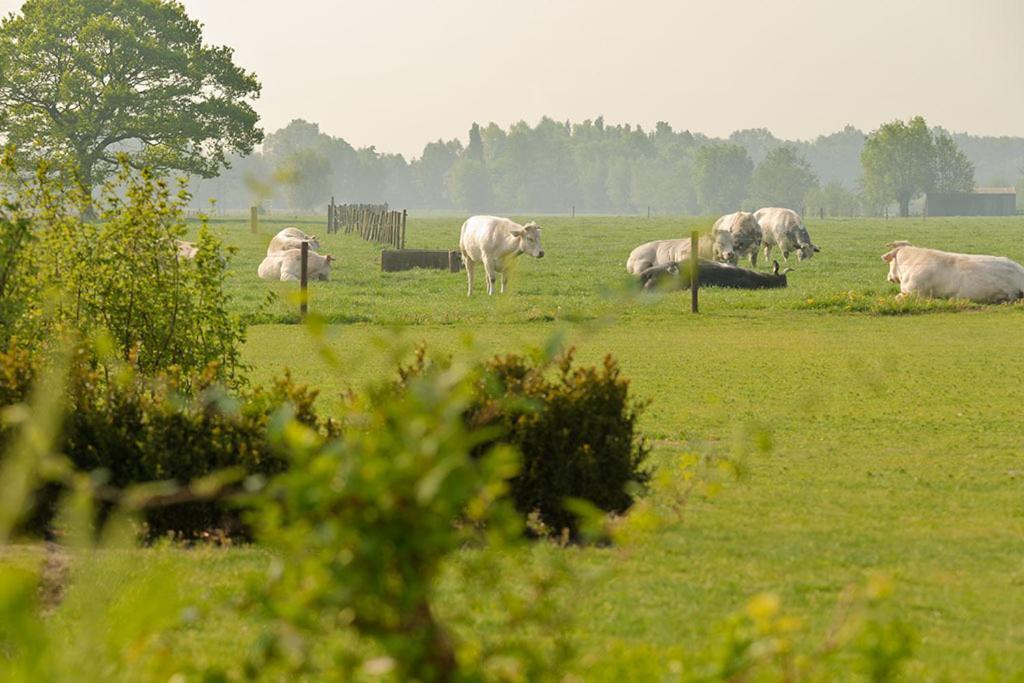 Domein Het Weiland ダンメ エクステリア 写真